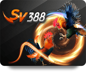 How Soi Cầu Can Improve Your Lottery Game